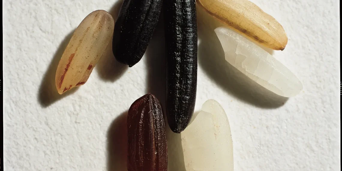 Top 10 Magnesium-Packed Foods to Boost Your Diet