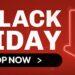 Temu’s Black Friday 2024: Your Guide to Major Discounts