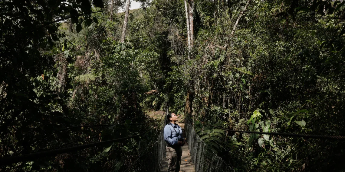 Nature-Rich but Economically Poor: These Nations Need Support to Protect Their Resources”