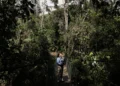 Nature-Rich but Economically Poor: These Nations Need Support to Protect Their Resources”