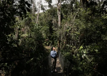 Nature-Rich but Economically Poor: These Nations Need Support to Protect Their Resources”