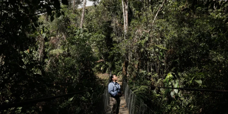 Nature-Rich but Economically Poor: These Nations Need Support to Protect Their Resources”