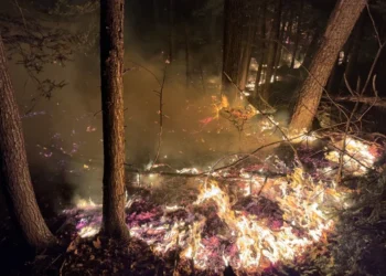 Northeast on High Alert: Wildfire Risks Rise Amid Drought and Dry Weather