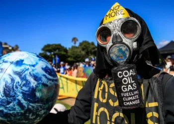 COP29 Climate Deal Criticized for Falling Short of Poorer Nations’ Needs