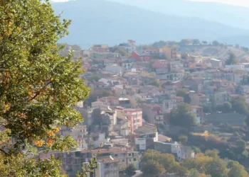 Sardinian Village Offers $1 Homes to Americans Seeking Post-Election Escape