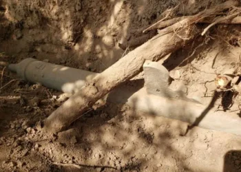 Oldest U.S. Firearm Unearthed: A 500-Year-Old Relic of Spanish Exploration