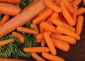 Deadly E. Coli Outbreak Spurs Nationwide Recall of Organic Carrots