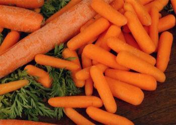 Deadly E. Coli Outbreak Spurs Nationwide Recall of Organic Carrots