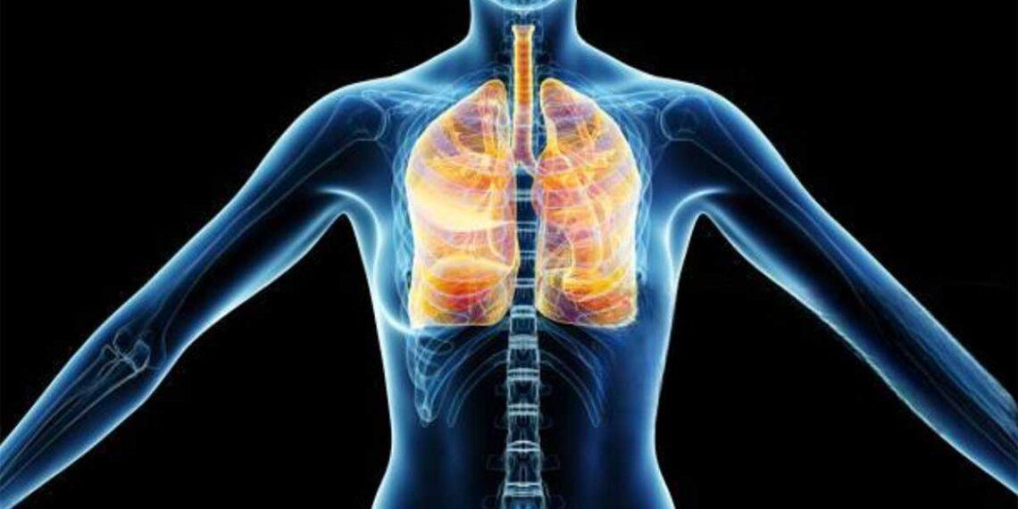 How to Protect Your Lungs from Harmful Air Pollution