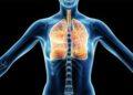 How to Protect Your Lungs from Harmful Air Pollution