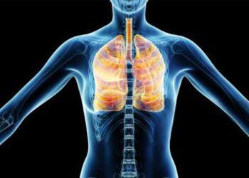 How to Protect Your Lungs from Harmful Air Pollution