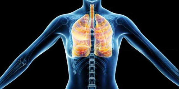 How to Protect Your Lungs from Harmful Air Pollution