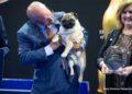 Vito the Pug Makes History as First of His Breed to Win Best in Show