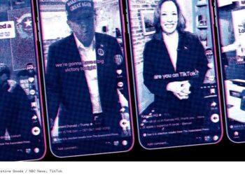 The TikTok Dilemma: Campaigning on an App They Want to Ban