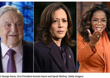 Top Political Blunders of 2024: Conservatives Call Out Key Figures