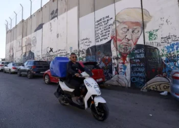 Hamas Calls for Immediate End to Gaza Conflict Following Trump’s Election Win