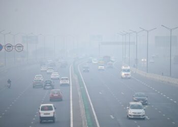 Smog Crisis in Delhi: Restrictions and Stubble Burning Worsen Pollution Woes