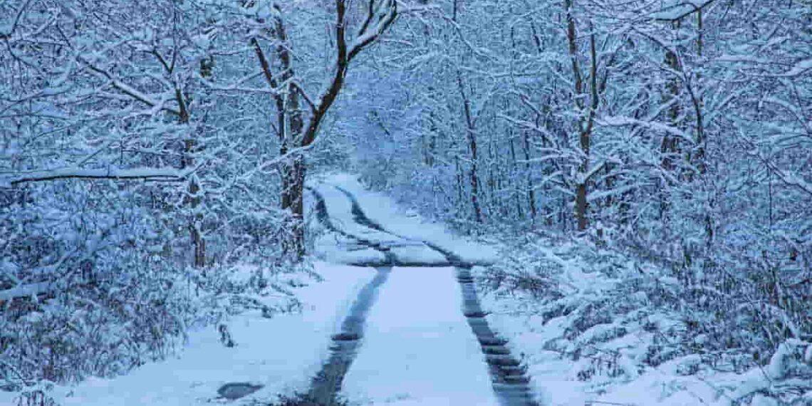 Arctic Blast Brings Heavy Snow and Freezing Temperatures Across the U.S.