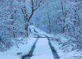 Arctic Blast Brings Heavy Snow and Freezing Temperatures Across the U.S.