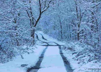 Arctic Blast Brings Heavy Snow and Freezing Temperatures Across the U.S.