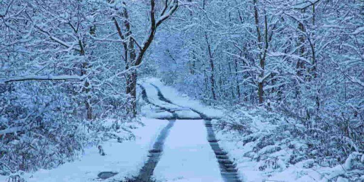 Arctic Blast Brings Heavy Snow and Freezing Temperatures Across the U.S.