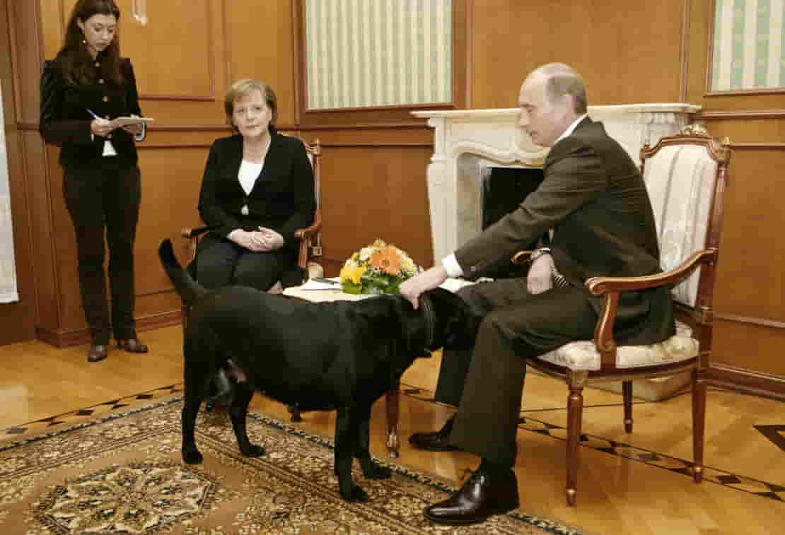 Angela Merkel Reflects on Trump’s Admiration for Authoritarian Leaders