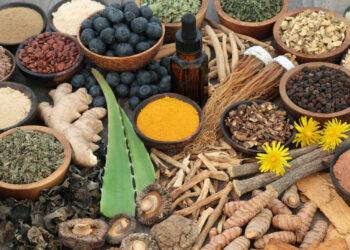 From Stress Relief to Pain Management: 8 Herbs That Work Wonders