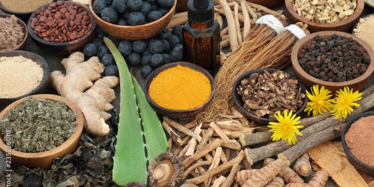 From Stress Relief to Pain Management: 8 Herbs That Work Wonders