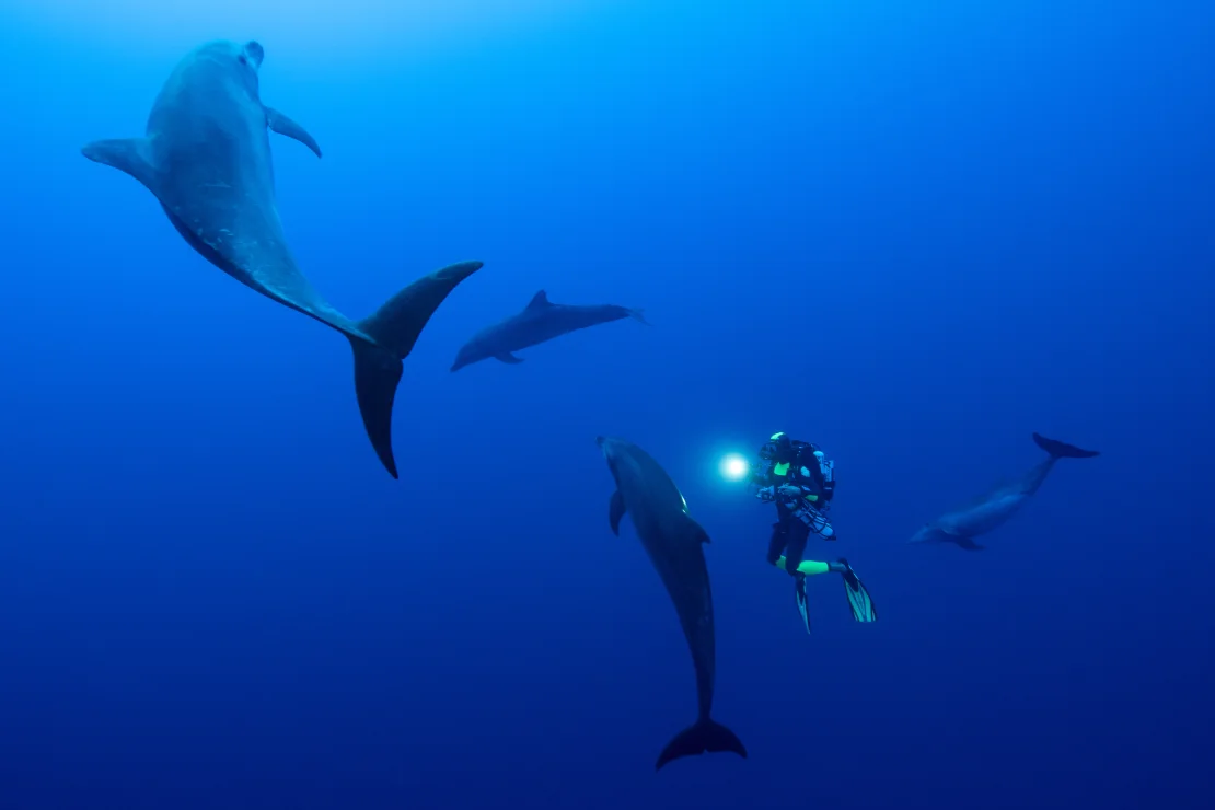 How One Family is Documenting the Ocean’s Hidden Secrets