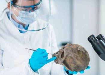 The Surprising Role of Neanderthals in Human Evolution