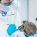 The Surprising Role of Neanderthals in Human Evolution