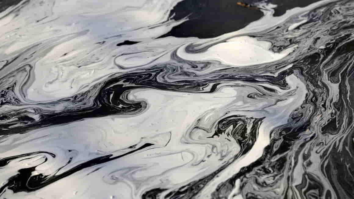 Turning Coal Ash Pollution into a Treasure Trove of Rare Earth Metals