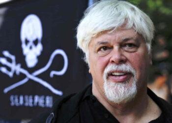 Greenland Releases Paul Watson, Extradition to Japan Blocked - AP Phtot Markus Shreiber file