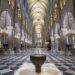 A New Beginning for Notre Dame: What to Expect at the Reopening