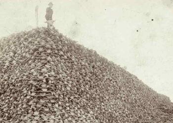 The Hidden Truth Behind the Iconic Bison Skull Mountain Photo