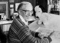 The Genius of Charles Schulz: Lessons from Charlie Brown and Snoopy