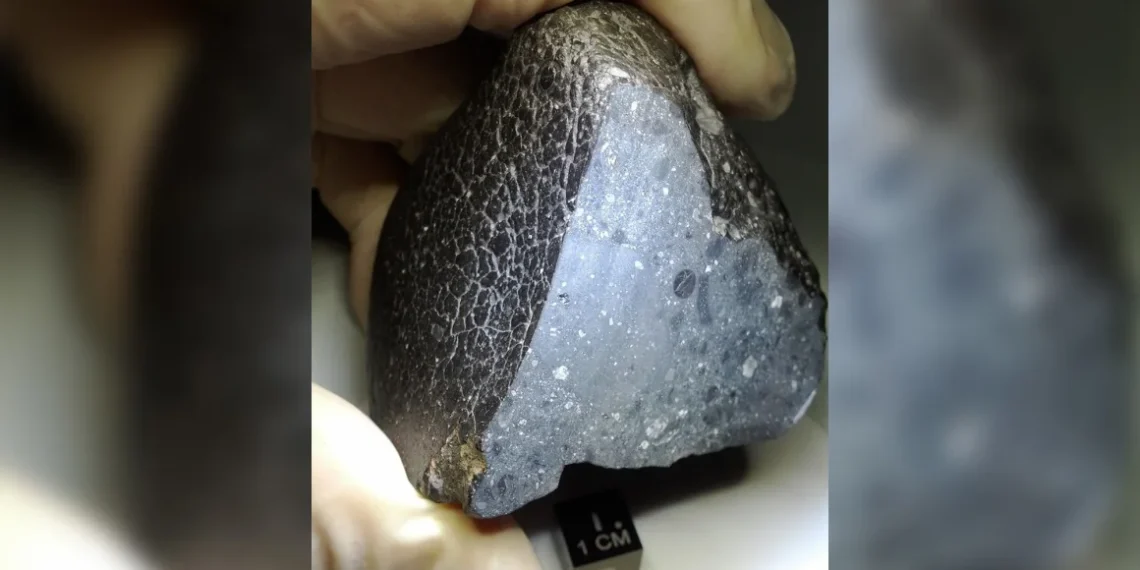 Black Beauty Meteorite: Evidence of Habitable Mars Uncovered