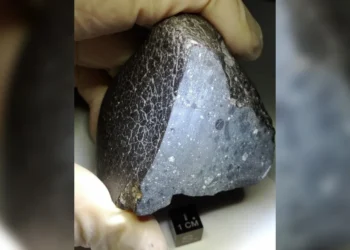 Black Beauty Meteorite: Evidence of Habitable Mars Uncovered