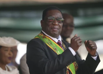 Zimbabwe’s New Land Policy Opens Doors for Black Farmers’ Financial Growth - (AP Photo /Tsvangirayi Mukwazhi, File)