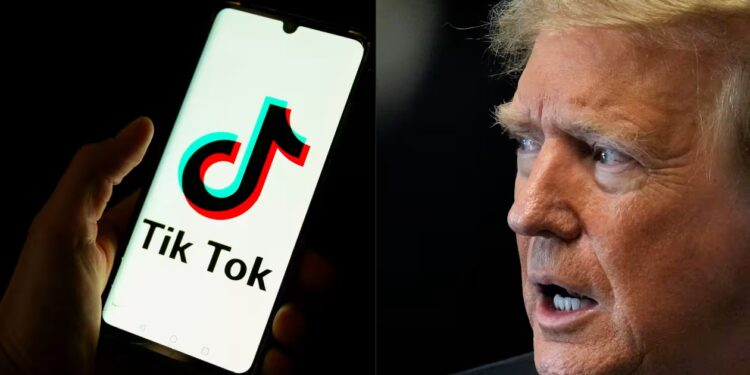 Trump Seeks Delay in TikTok Ban for His Administration to Act - AFP/Getty Images photo illustration