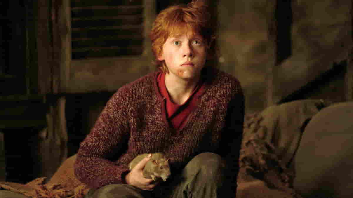 Rupert Grint Loses $2.3 Million Tax Case Over Harry Potter Earnings