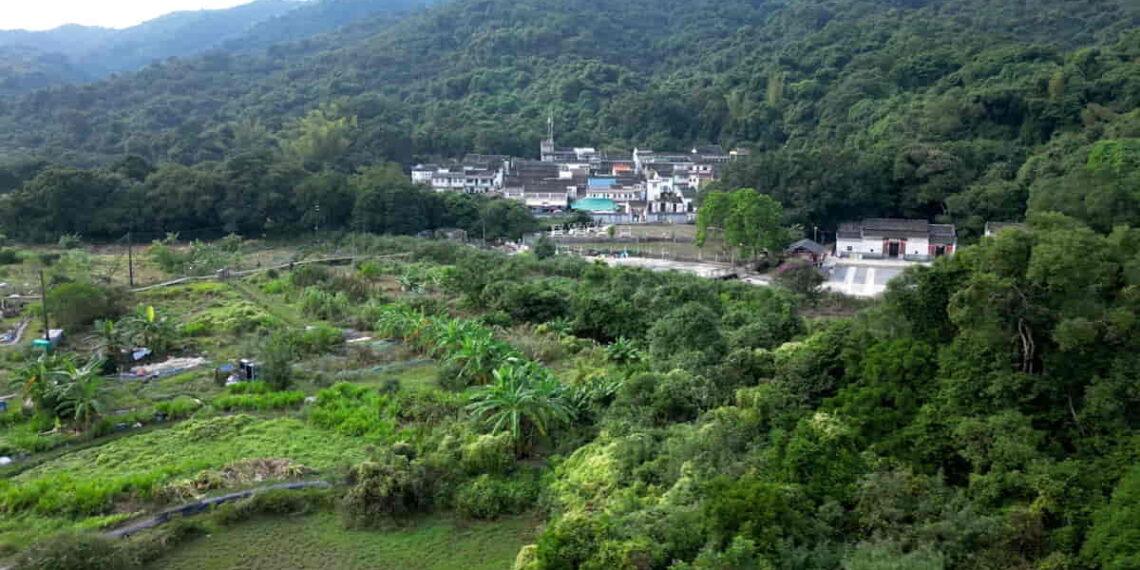 Returning to Roots: The Revival of a Historic Farming Village in Hong Kong - Tom Booth/CNN