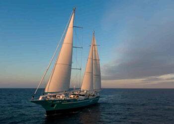 Slower, Greener, Better: A Wind-Powered Alternative to Air Travel - Ronan Gladu/TOWT