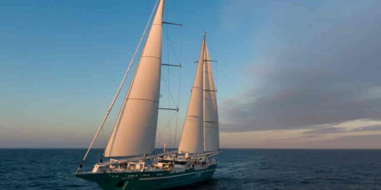 Slower, Greener, Better: A Wind-Powered Alternative to Air Travel - Ronan Gladu/TOWT