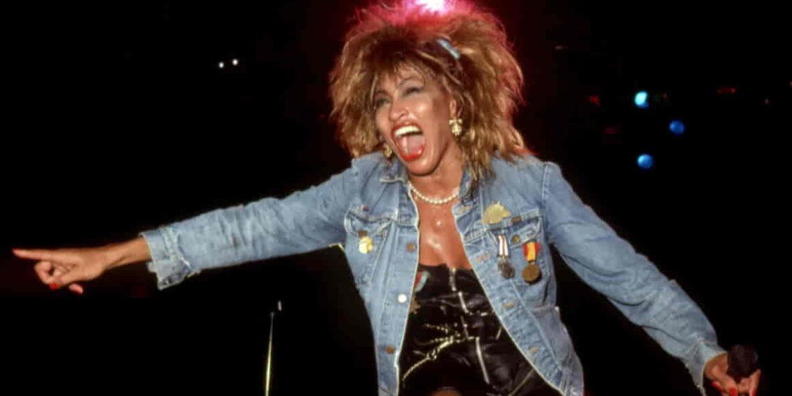 New Tina Turner Song to Feature on Private Dancer Anniversary Album - Ross Marino/Getty Images