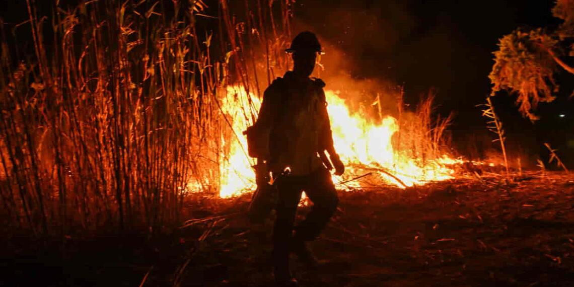 Lives Lost, Thousands Displaced: California Wildfire Crisis - Tayfun Coskun/Anadolu via Getty Images