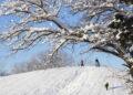 Winter Storm Creates Perfect Snow Day for Southern States - Jaime Green/The Wichita Eagle via AP