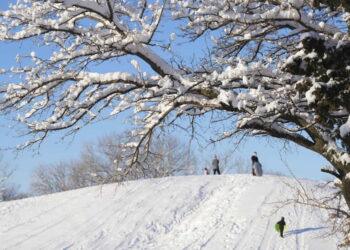 Winter Storm Creates Perfect Snow Day for Southern States - Jaime Green/The Wichita Eagle via AP