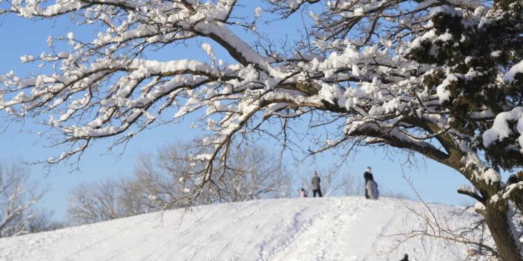 Winter Storm Creates Perfect Snow Day for Southern States - Jaime Green/The Wichita Eagle via AP