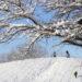 Winter Storm Creates Perfect Snow Day for Southern States - Jaime Green/The Wichita Eagle via AP